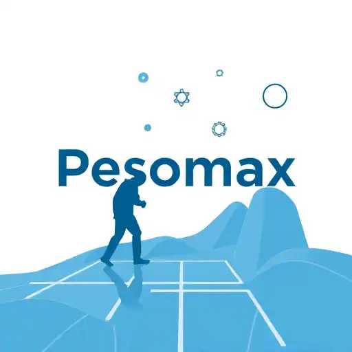 About Us: The Story Behind Pesomax